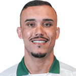 Foto do jogador William Pottker