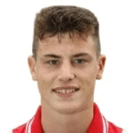 Foto do jogador T. Handley