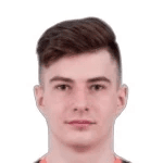D. Sokol