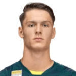 Foto do jogador S. Hamzić