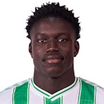 N. Mendy