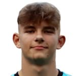 Foto do jogador M. JeleÅ