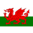 Escudo do Wales U19