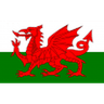 Escudo do Wales U19