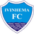 Escudo do Ivinhema