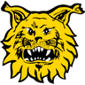 Escudo da Ilves