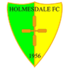 Escudo da Holmesdale