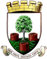 Escudo da Wells City