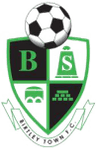 Escudo da Birtley Town