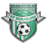 Escudo da Dukagjini