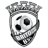Escudo da Brito