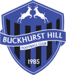 Escudo do Buckhurst Hill