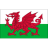 Escudo do Wales U18