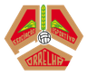 Escudo da Correlhã