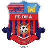 Escudo da Dila