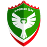 Escudo do Amed