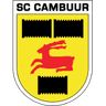 Escudo do Cambuur