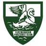 Escudo da Leatherhead