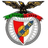 Escudo do Angrense