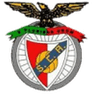 Escudo da Angrense