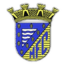 Escudo da Mortágua