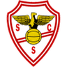 Escudo da Salgueiros