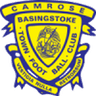 Escudo da Basingstoke Town
