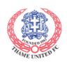 Escudo da Thame United
