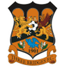 Escudo da Three Bridges