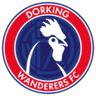 Escudo da Dorking Wanderers