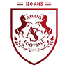 Escudo da Amiens