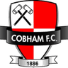Escudo do Cobham
