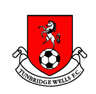Escudo da Tunbridge Wells