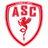 Escudo do Cannes